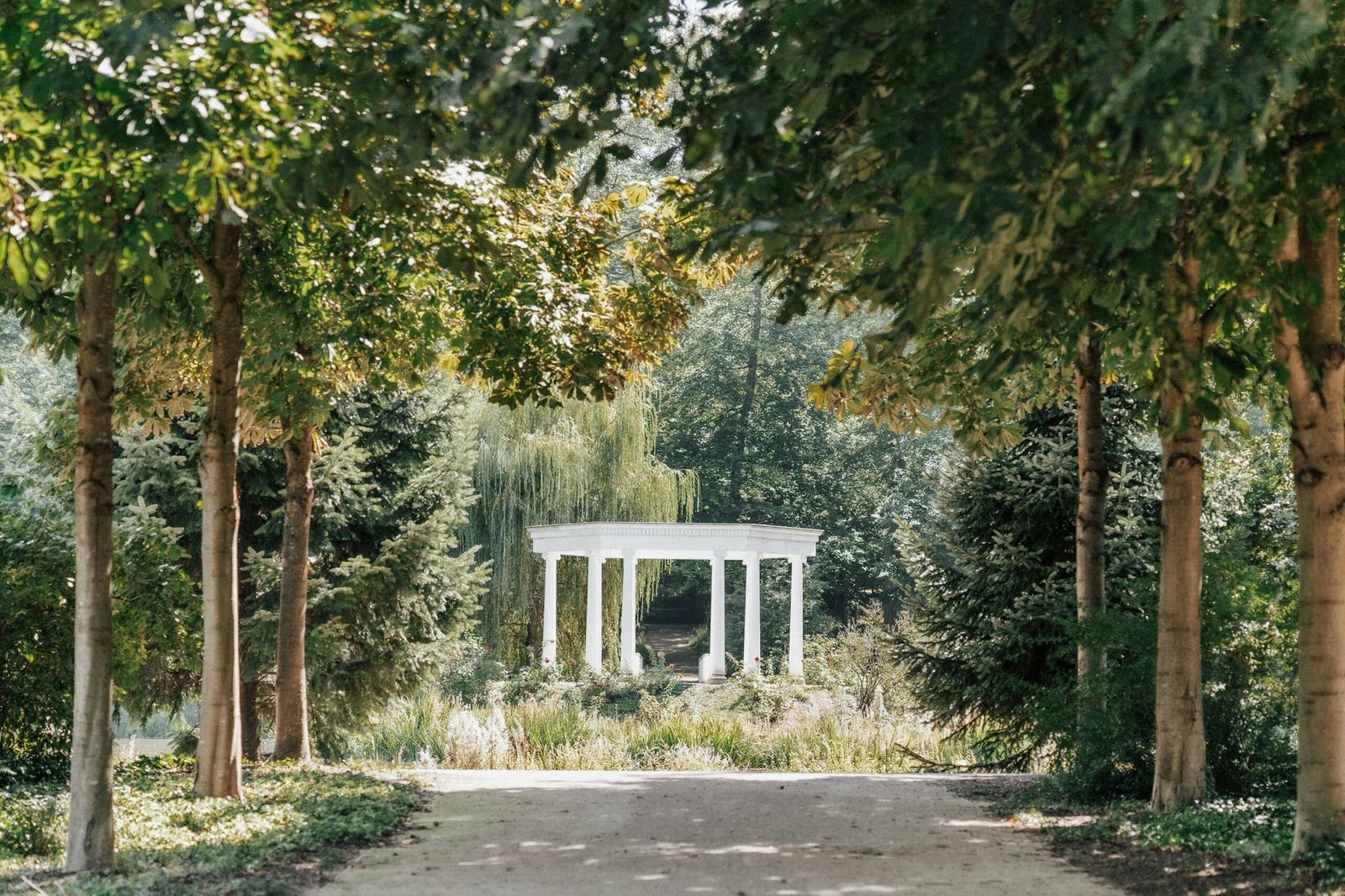 Perfect places for your micro wedding. 12 micro wedding venue ideas