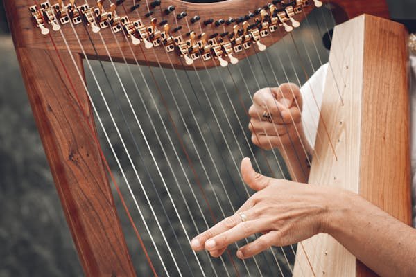 Cozy wedding music, harp
