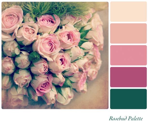 neutral wedding colors, color palette