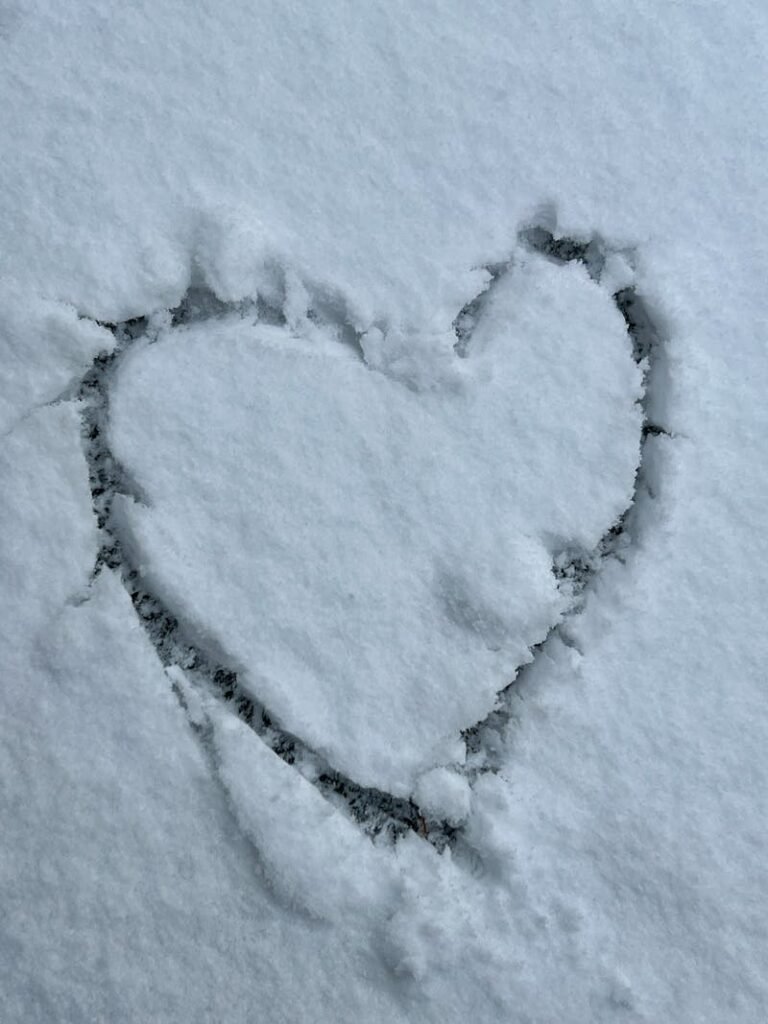 hart in the snow at a winter wedding