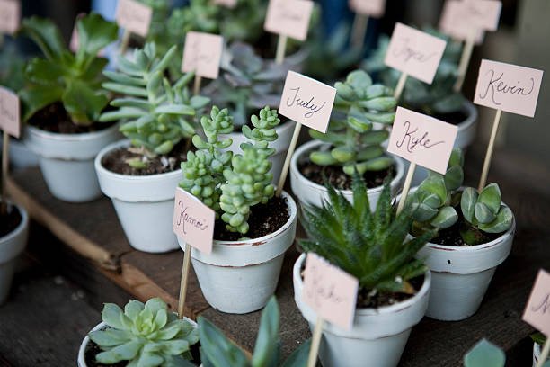 25 diy wedding favors your guests will love eco friendly