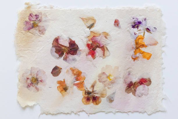 Wedding favors, seeds