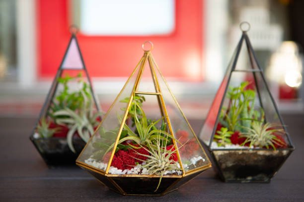 non-floral wedding centerpieces terrariums