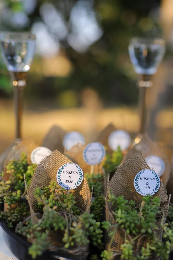 interactive wedding ideas, planted herbs
