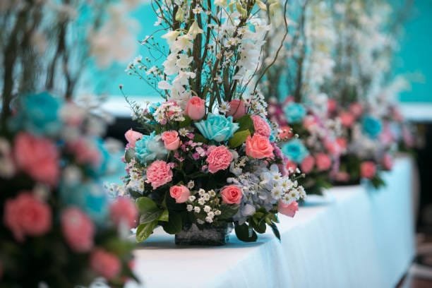 Wedding color Palette coral and blue