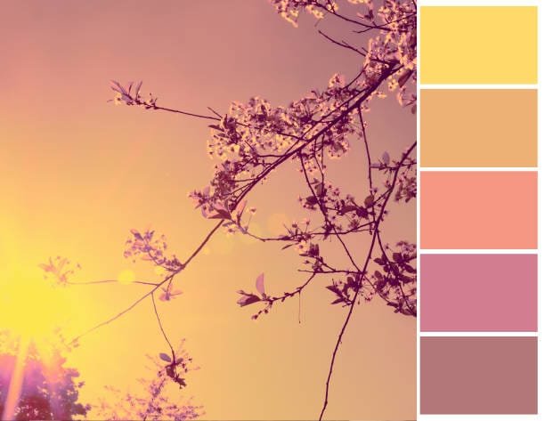 wedding color palette, blush, terracotta