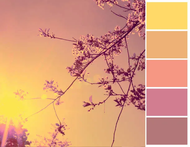 wedding color palette, blush, terracotta