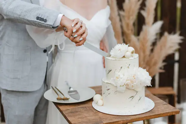 bride and groom cutting the cake